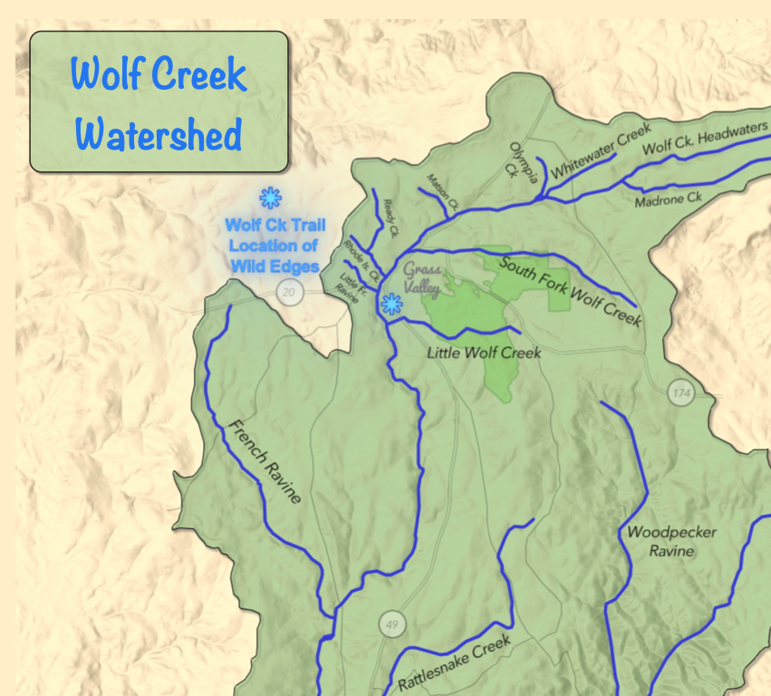 Wolf Creek Community Alliance